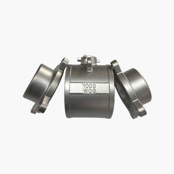 Stainless Steel Casting